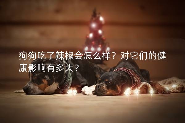 狗狗吃了辣椒會怎么樣？對它們的健康影響有多大？