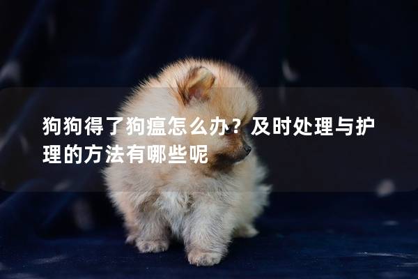 狗狗得了狗瘟怎么辦？及時處理與護理的方法有哪些呢