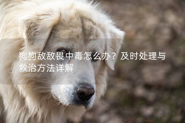 狗狗敵敵畏中毒怎么辦？及時處理與救治方法詳解