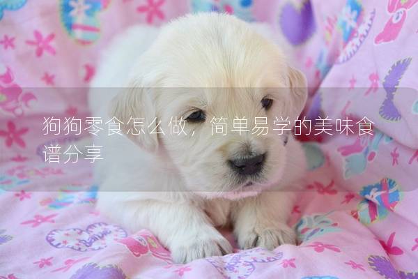 狗狗零食怎么做，簡單易學的美味食譜分享