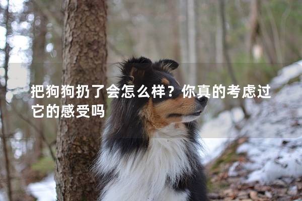 把狗狗扔了會怎么樣?你真的考慮過它的感受嗎 把狗狗扔了會怎么樣?你真的考慮過它的感受嗎