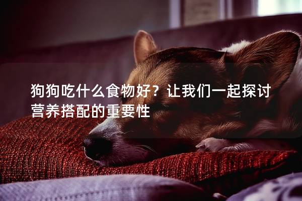 狗狗吃什么食物好?讓我們一起探討營養(yǎng)搭配的重要性 狗狗吃什么食物好?讓我們一起探討營養(yǎng)搭配的重要性