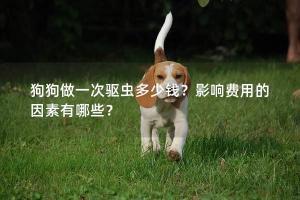 狗狗做一次驅蟲多少錢?影響費用的因素有哪些? 狗狗做一次驅蟲多少錢?影響費用的因素有哪些?