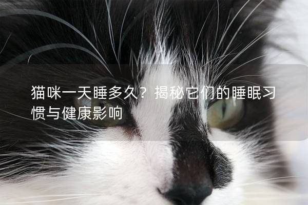 貓咪一天睡多久？揭秘它們的睡眠習(xí)慣與健康影響
