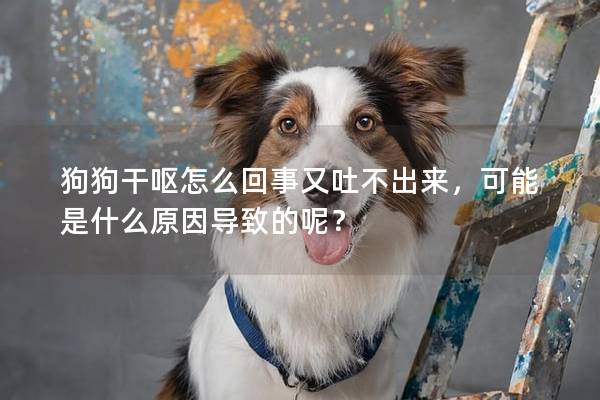 狗狗干嘔怎么回事又吐不出來，可能是什么原因導致的呢？