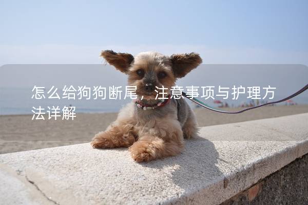 怎么給狗狗斷尾，注意事項與護理方法詳解