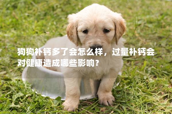狗狗補鈣多了會怎么樣，過量補鈣會對健康造成哪些影響？