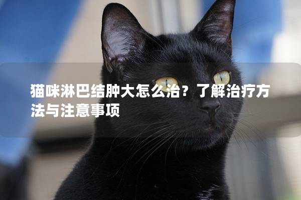 貓咪淋巴結腫大怎么治？了解治療方法與注意事項