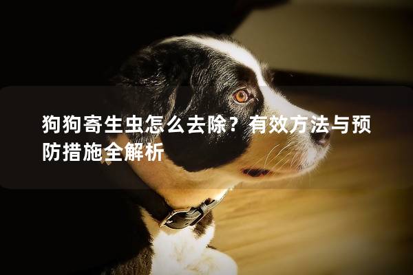 狗狗寄生蟲怎么去除？有效方法與預防措施全解析