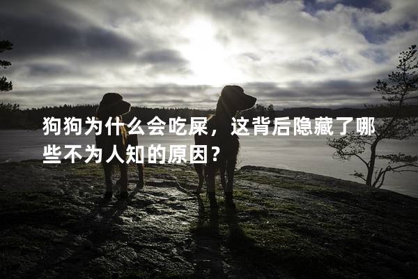 狗狗為什么會吃屎，這背后隱藏了哪些不為人知的原因？