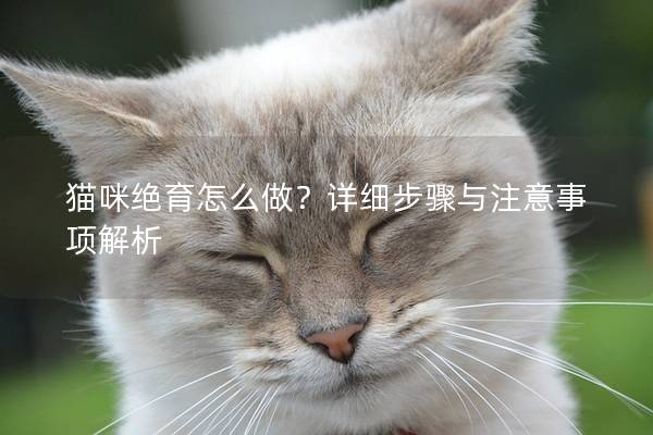 貓咪絕育怎么做?詳細步驟與注意事項解析 貓咪絕育怎么做?詳細步驟與注意事項解析