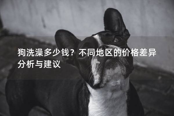 狗洗澡多少錢？不同地區的價格差異分析與建議