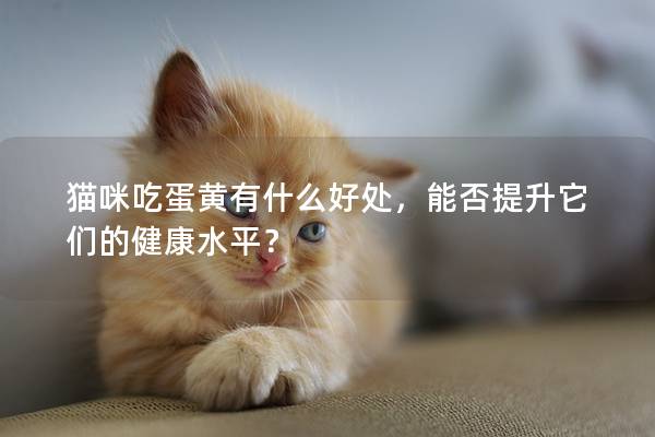 貓咪吃蛋黃有什么好處，能否提升它們的健康水平？
