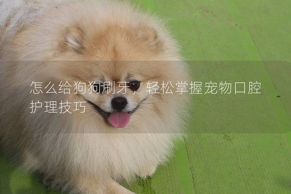怎么給狗狗刷牙，輕松掌握寵物口腔護(hù)理技巧