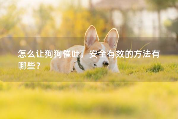 怎么讓狗狗催吐，安全有效的方法有哪些？