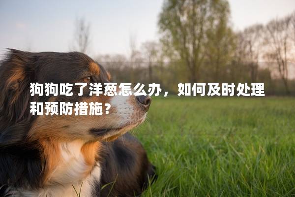 狗狗吃了洋蔥怎么辦,如何及時處理和預防措施? 狗狗吃了洋蔥怎么辦,如何及時處理和預防措施?