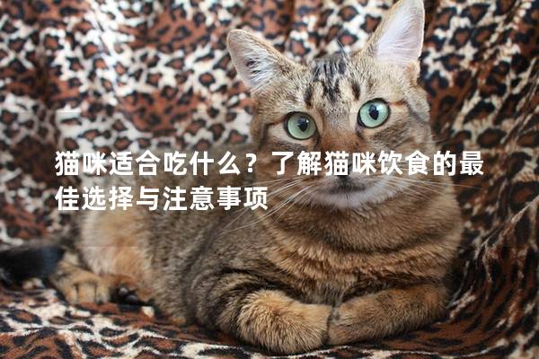 貓咪適合吃什么？了解貓咪飲食的最佳選擇與注意事項(xiàng)