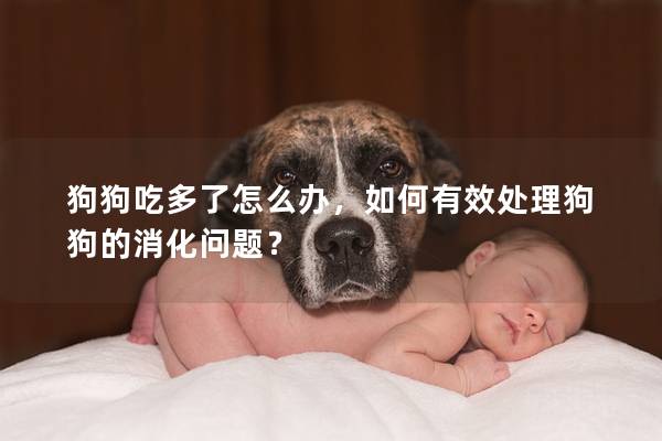 狗狗吃多了怎么辦，如何有效處理狗狗的消化問題？
