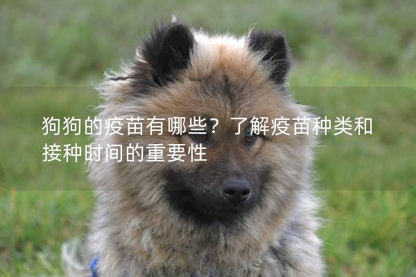 狗狗的疫苗有哪些?了解疫苗種類和接種時間的重要性