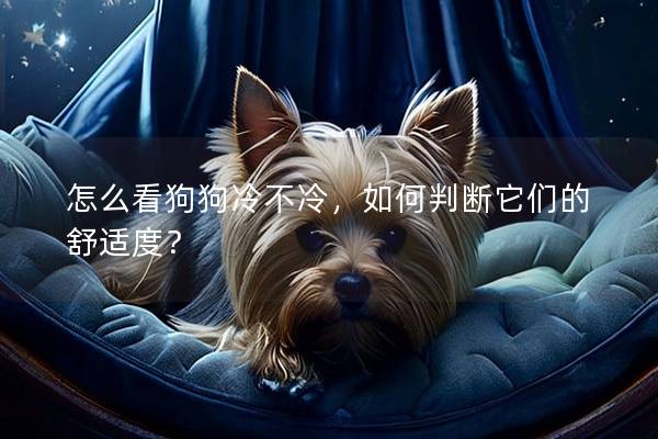 怎么看狗狗冷不冷，如何判斷它們的舒適度？