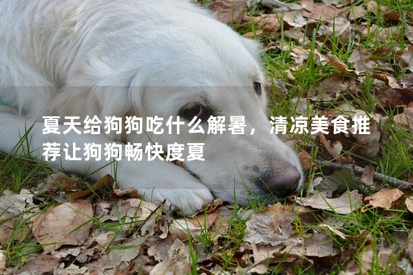夏天給狗狗吃什么解暑，清涼美食推薦讓狗狗暢快度夏