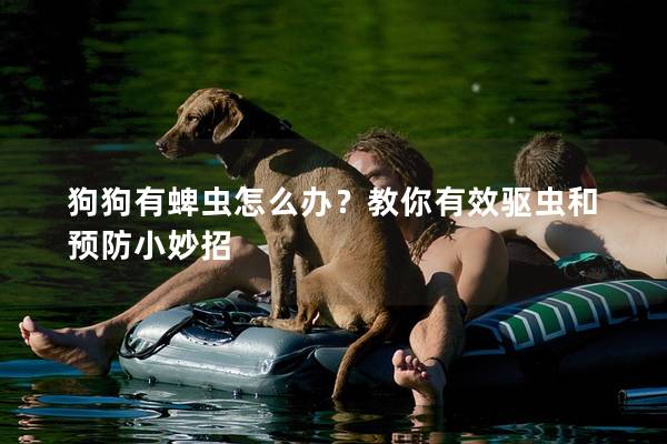 狗狗有蜱蟲怎么辦?教你有效驅蟲和預防小妙招 狗狗有蜱蟲怎么辦?教你有效驅蟲和預防小妙招