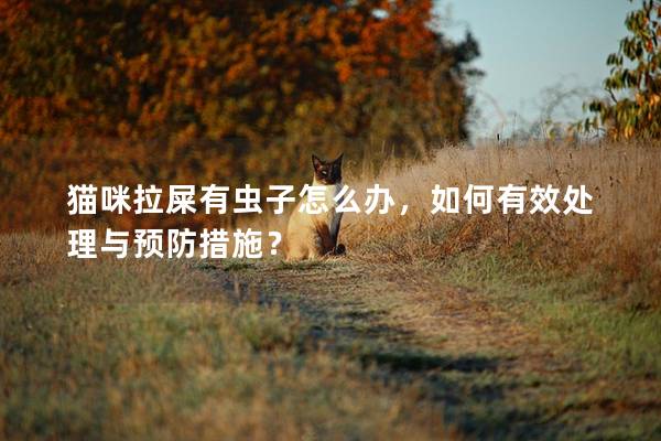 貓咪拉屎有蟲子怎么辦，如何有效處理與預防措施？