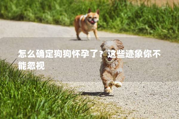怎么確定狗狗懷孕了？這些跡象你不能忽視