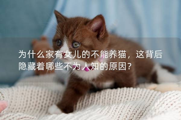 為什么家有女兒的不能養(yǎng)貓，這背后隱藏著哪些不為人知的原因？