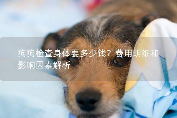 狗狗檢查身體要多少錢？費用明細和影響因素解析