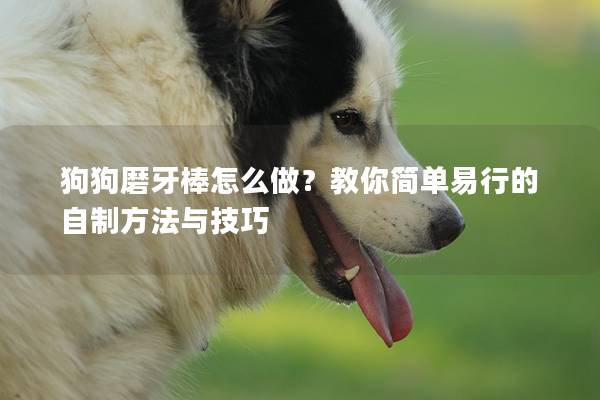 狗狗磨牙棒怎么做？教你簡單易行的自制方法與技巧