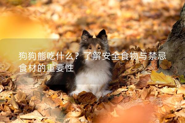 狗狗能吃什么？了解安全食物與禁忌食材的重要性
