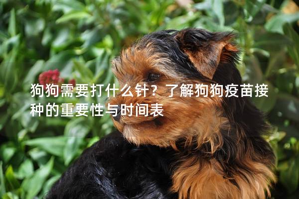 狗狗需要打什么針？了解狗狗疫苗接種的重要性與時間表
