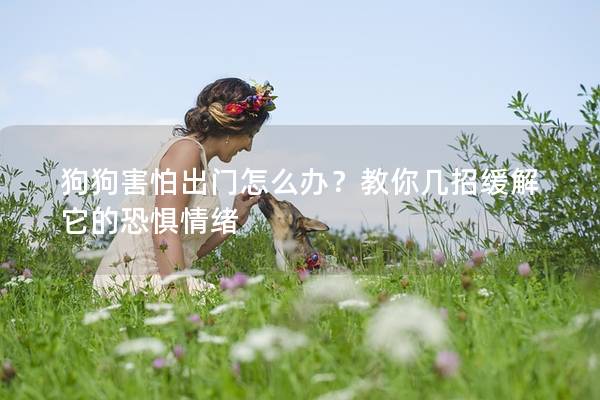 狗狗害怕出門怎么辦？教你幾招緩解它的恐懼情緒