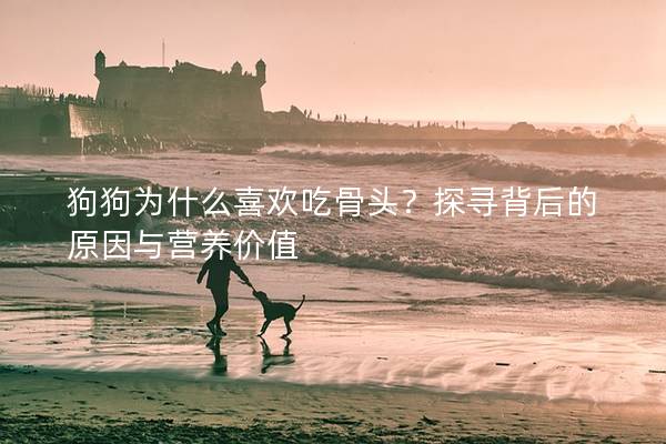狗狗為什么喜歡吃骨頭？探尋背后的原因與營養價值