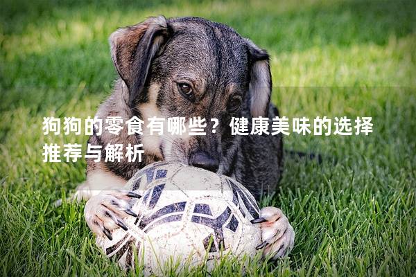 狗狗的零食有哪些？健康美味的選擇推薦與解析