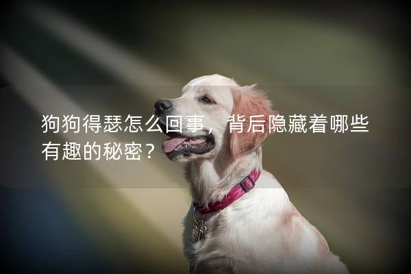 狗狗得瑟怎么回事，背后隱藏著哪些有趣的秘密？