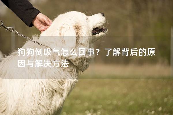 狗狗倒吸氣怎么回事？了解背后的原因與解決方法