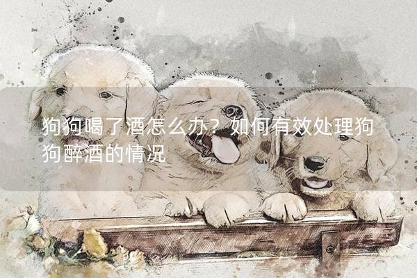 狗狗喝了酒怎么辦？如何有效處理狗狗醉酒的情況