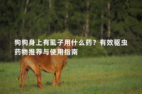 狗狗身上有虱子用什么藥？有效驅(qū)蟲藥物推薦與使用指南