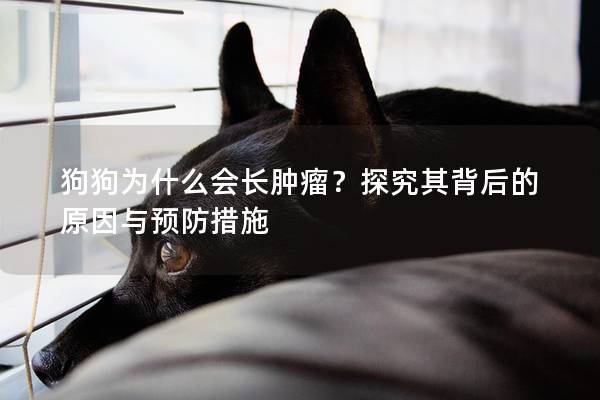 狗狗為什么會長腫瘤？探究其背后的原因與預防措施