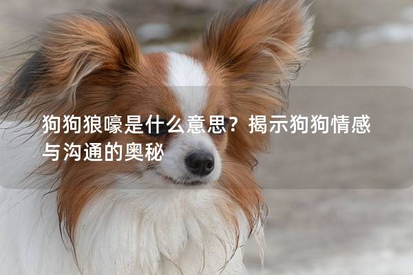 狗狗狼嚎是什么意思？揭示狗狗情感與溝通的奧秘