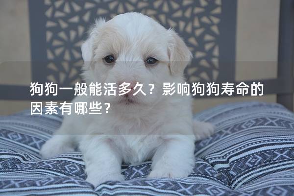 狗狗一般能活多久？影響狗狗壽命的因素有哪些？