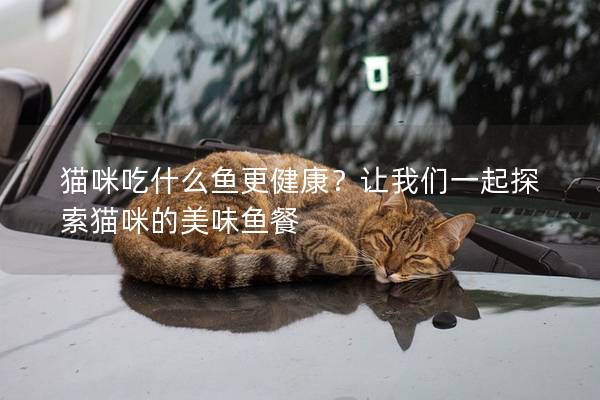 貓咪吃什么魚更健康?讓我們一起探索貓咪的美味魚餐