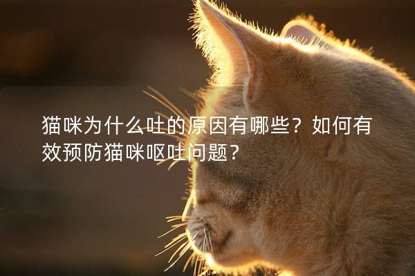 貓咪為什么吐的原因有哪些？如何有效預防貓咪嘔吐問題？