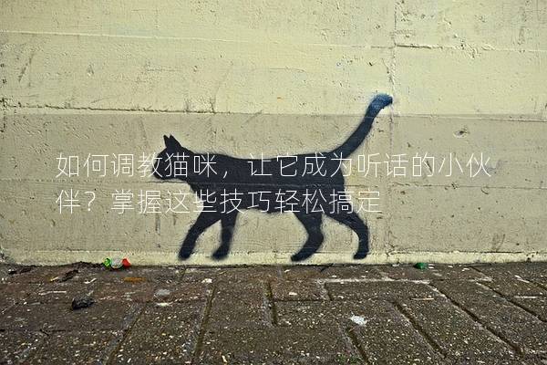 如何調教貓咪，讓它成為聽話的小伙伴？掌握這些技巧輕松搞定