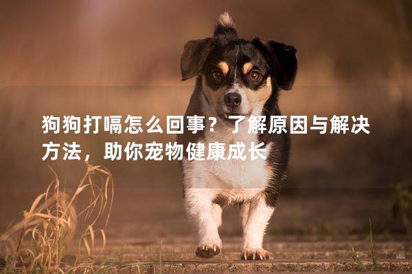 狗狗打嗝怎么回事？了解原因與解決方法，助你寵物健康成長
