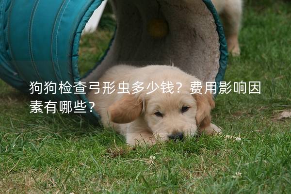 狗狗檢查弓形蟲多少錢？費用影響因素有哪些？