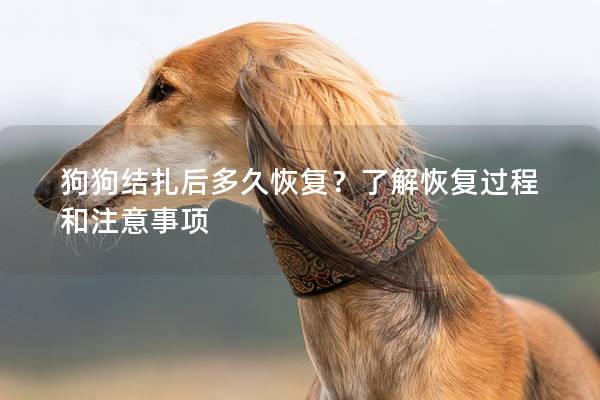 狗狗結(jié)扎后多久恢復(fù)？了解恢復(fù)過(guò)程和注意事項(xiàng)