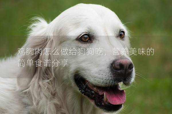 雞胸肉怎么做給狗狗吃,營養(yǎng)美味的簡單食譜分享 雞胸肉怎么做給狗狗吃,營養(yǎng)美味的簡單食譜分享